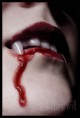 /album/galeria-de-fotos/a24716-jpg/
